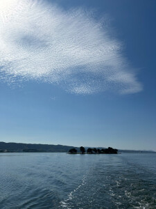 すんごい見事な鱗雲